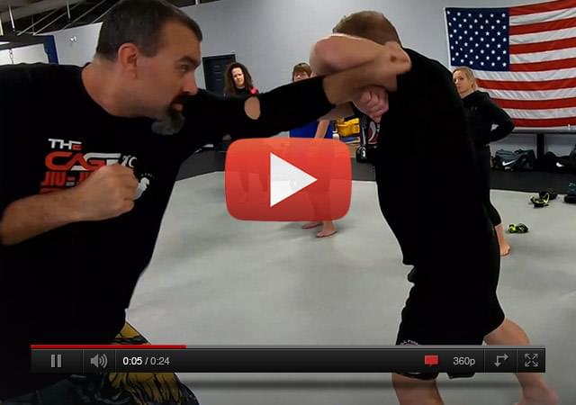 TRITAC Martial Arts Training Camp DVD Video HL